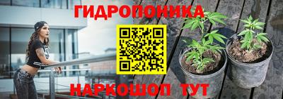 дмт Кимры