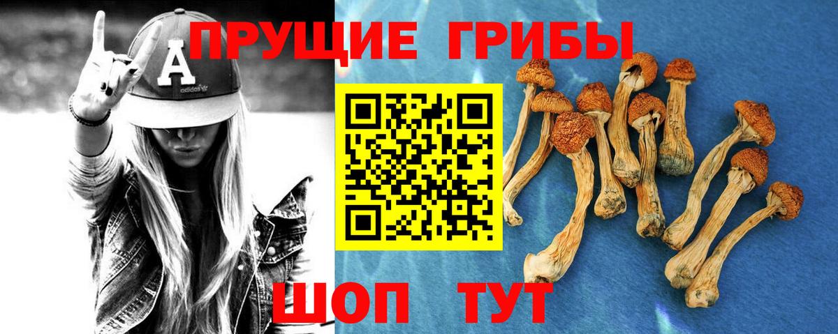 Псилоцибиновые грибы Psilocybine cubensis  Вход с VPN  Королёв 