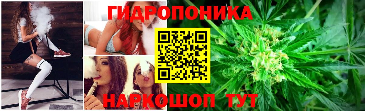 Каннабис сатива Королёв